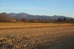1-DSCF8096
