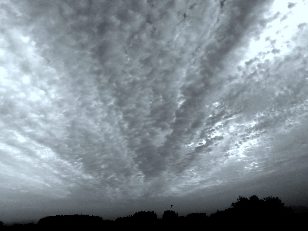 今朝の空