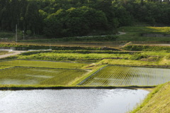 DP3M0408