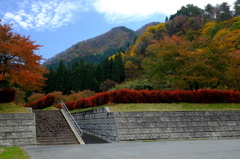 秋・好天
