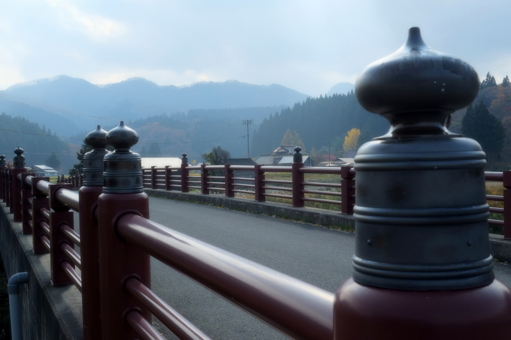 朝の散歩道