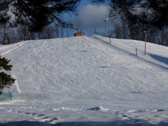DSCF1254