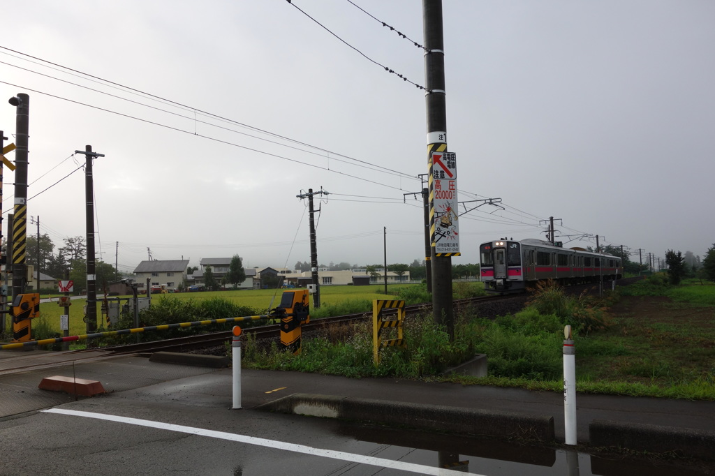 DSC06339
