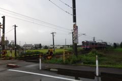 DSC06339