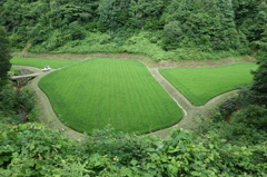 DSC03309