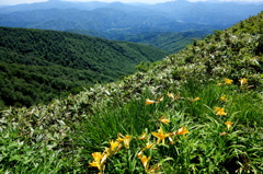 森吉山で