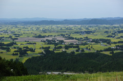 DP3M0843