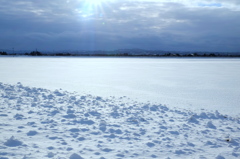 DSCF1137