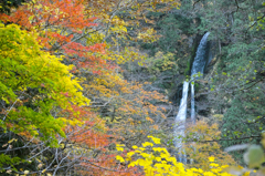 回顧の滝