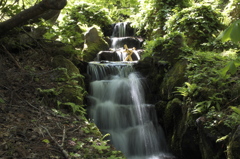 DSCF5397