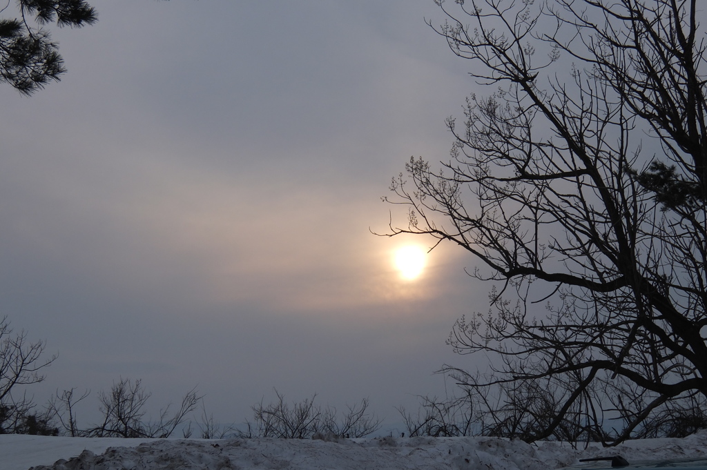 DSCF0411