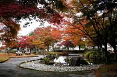 公園で一枚