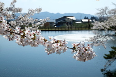 DSCF5216R