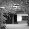 SDIM0263BW