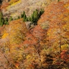 峰越林道の紅葉