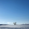 DSCF1268R