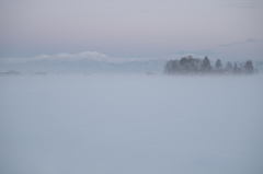 雪靄に沈む