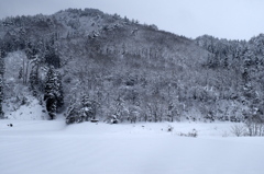 里山の新雪