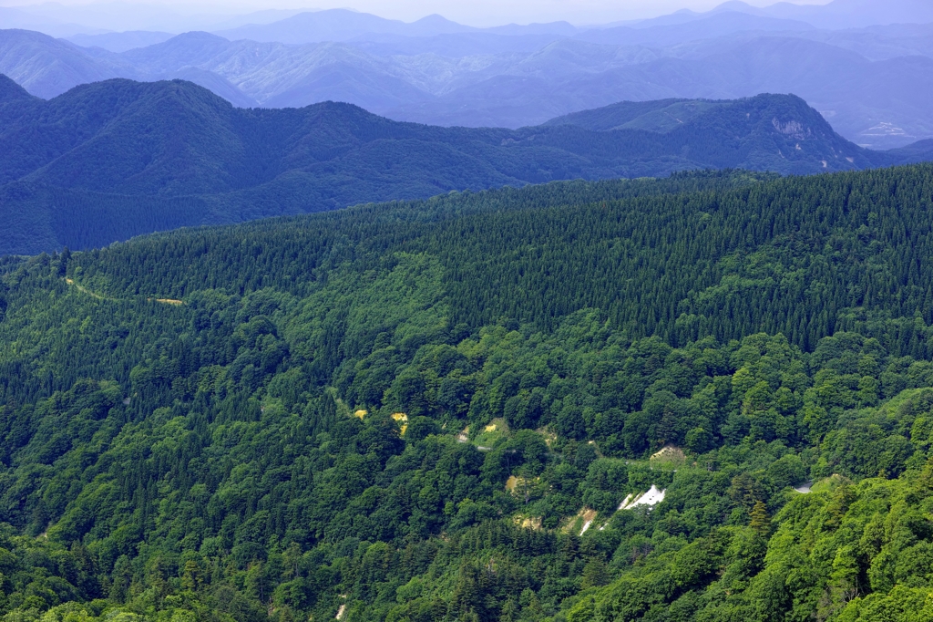 こまちゆったりロードから