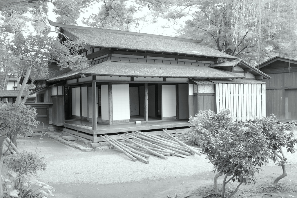 冬支度