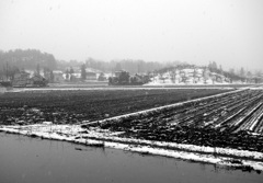 黒い雪が降る