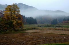 晩秋の里山に雨（３）