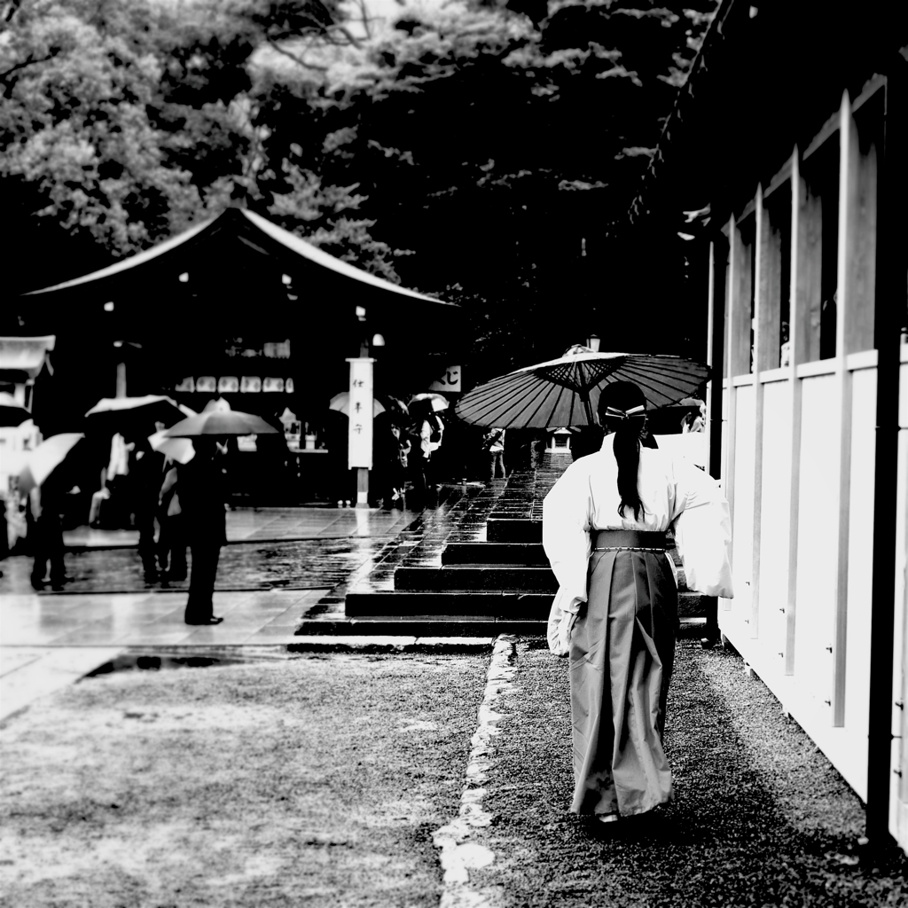 雨