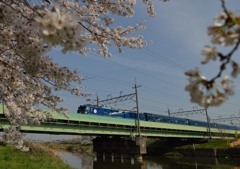 桜咲く春の北斗星