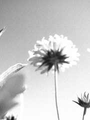 天気がいい日だった