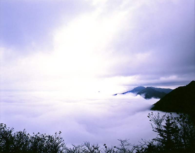 Silky Sky