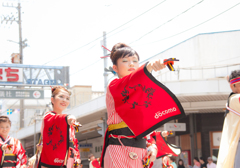 高知よさこい祭り13