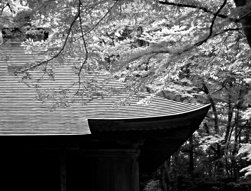 中尊寺 覆堂