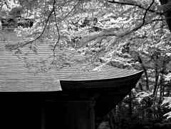 中尊寺 覆堂