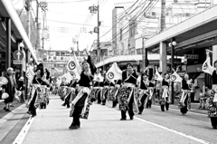 高知よさこい祭り15