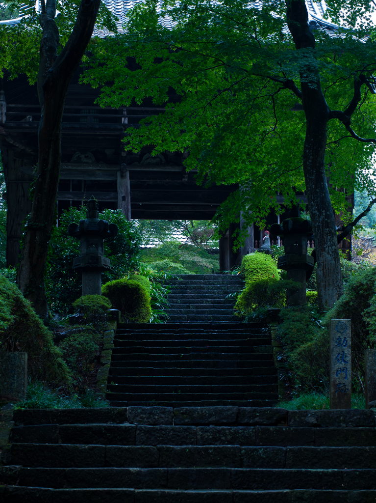 桐生 鳳仙寺