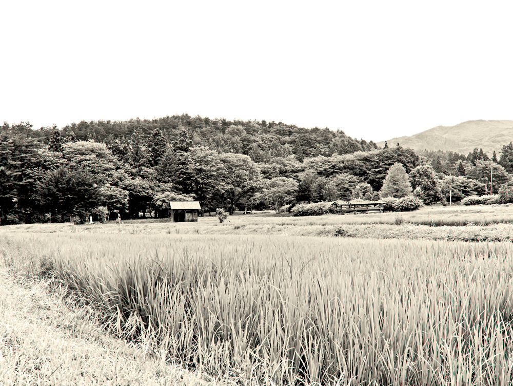 兎追いし彼の山