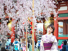花より艶なるは人の華
