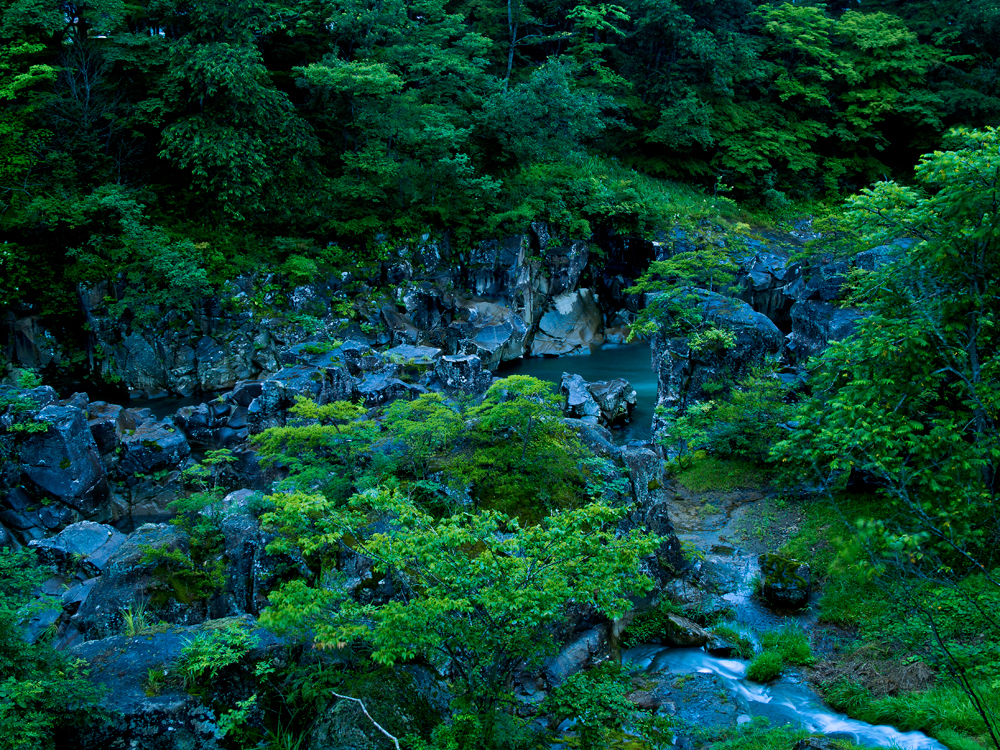 黎明厳美 - 弐 -