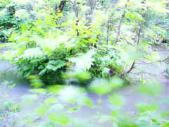 不変なる流転⑬