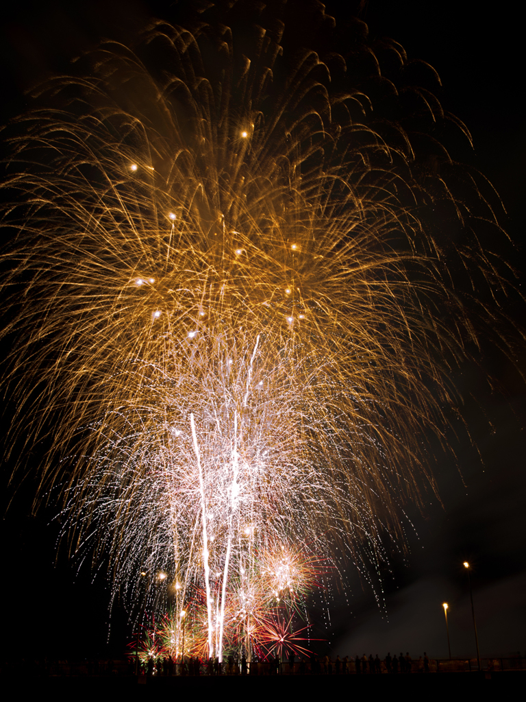 Fireworks2014 - 高崎 - Ⅳ