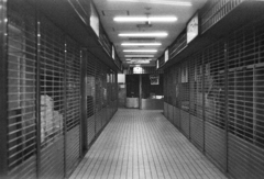Image0015