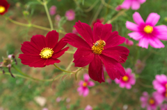 DSCF0055