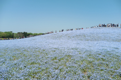 DSCF1215