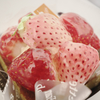 DSCF8517