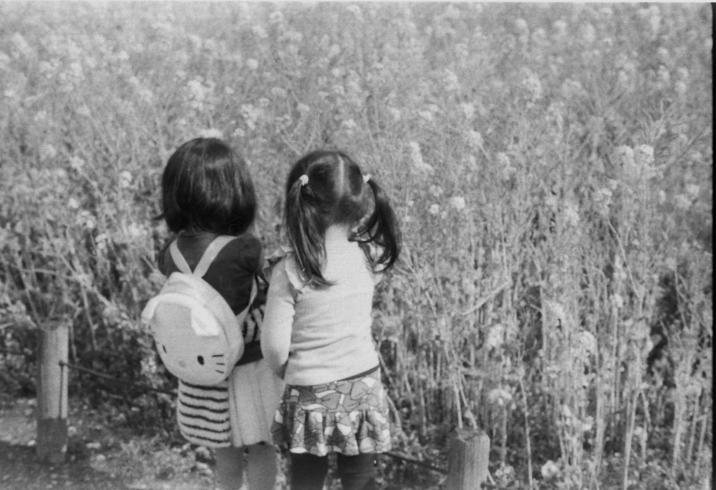 Image0026
