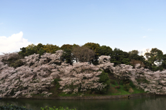 DSCF8825