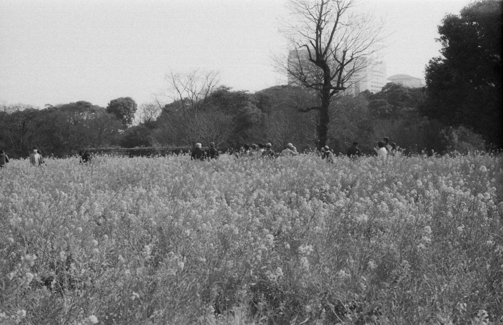 Image0013