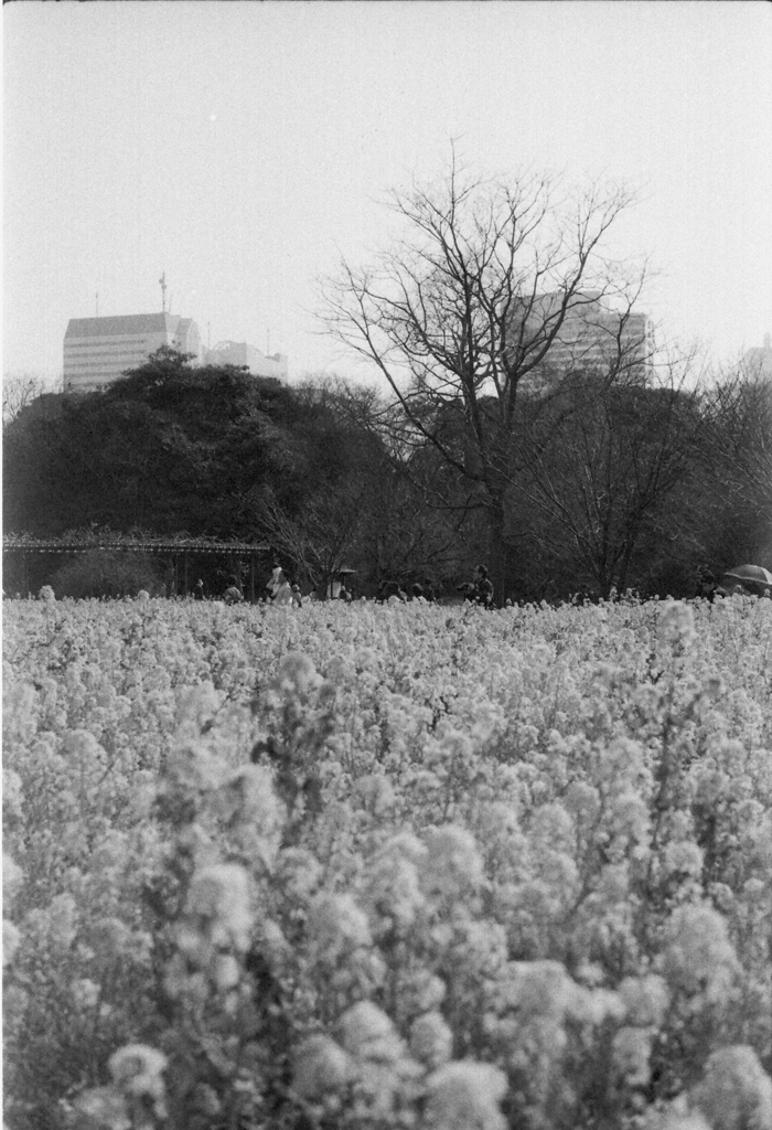 Image0027