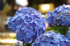 DSCF9456
