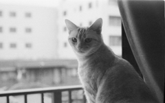 Image0007